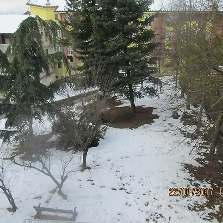 Apartment. Primavera *