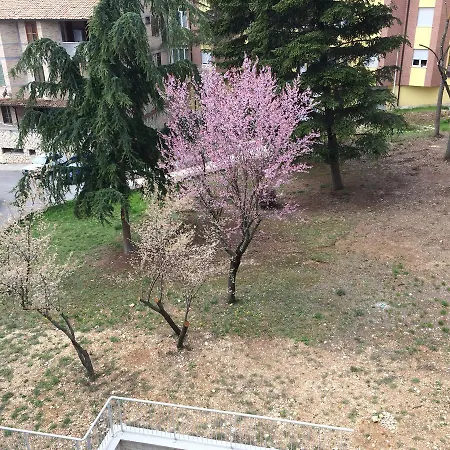 Apartment. Primavera *
